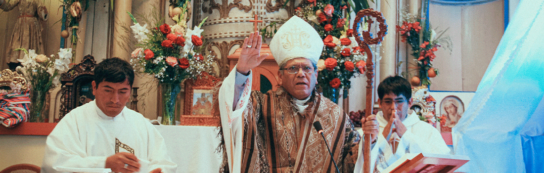 ERECCIÓN CANÓNICA DE PARROQUIA NUESTRA SEÑORA PURIFICADA EN AMPARAES